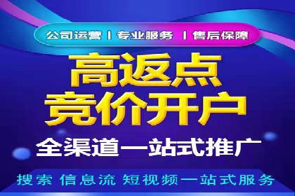 百度竞价之行业差异化的成功案例探讨